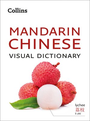 cover image of Mandarin Chinese Visual Dictionary